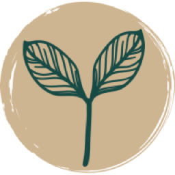 Qi Forest Spa & Wellness